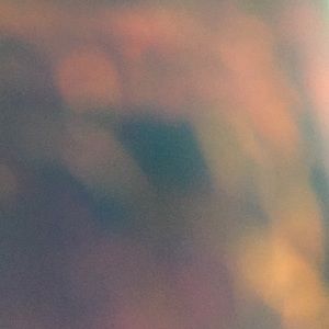 Meet your Posher, Lily